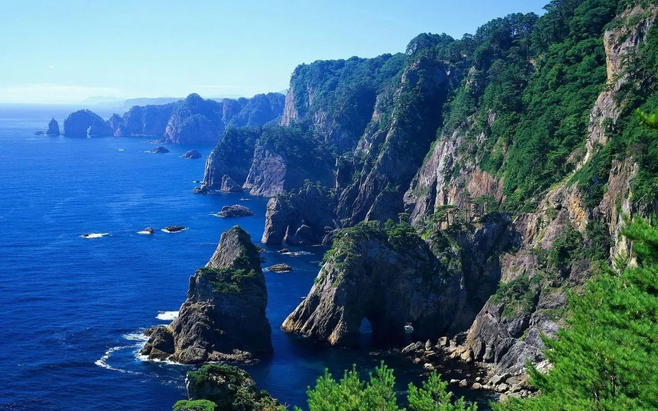 全自动信息化智能化